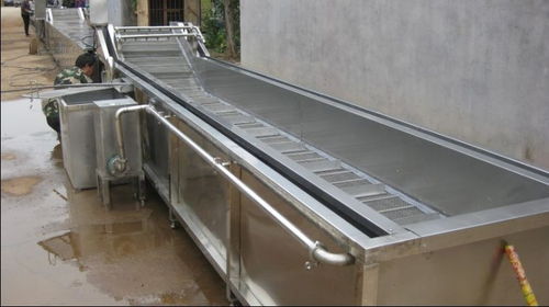 多功能蔬菜清洗機(jī)廠家值得信賴(lài)
